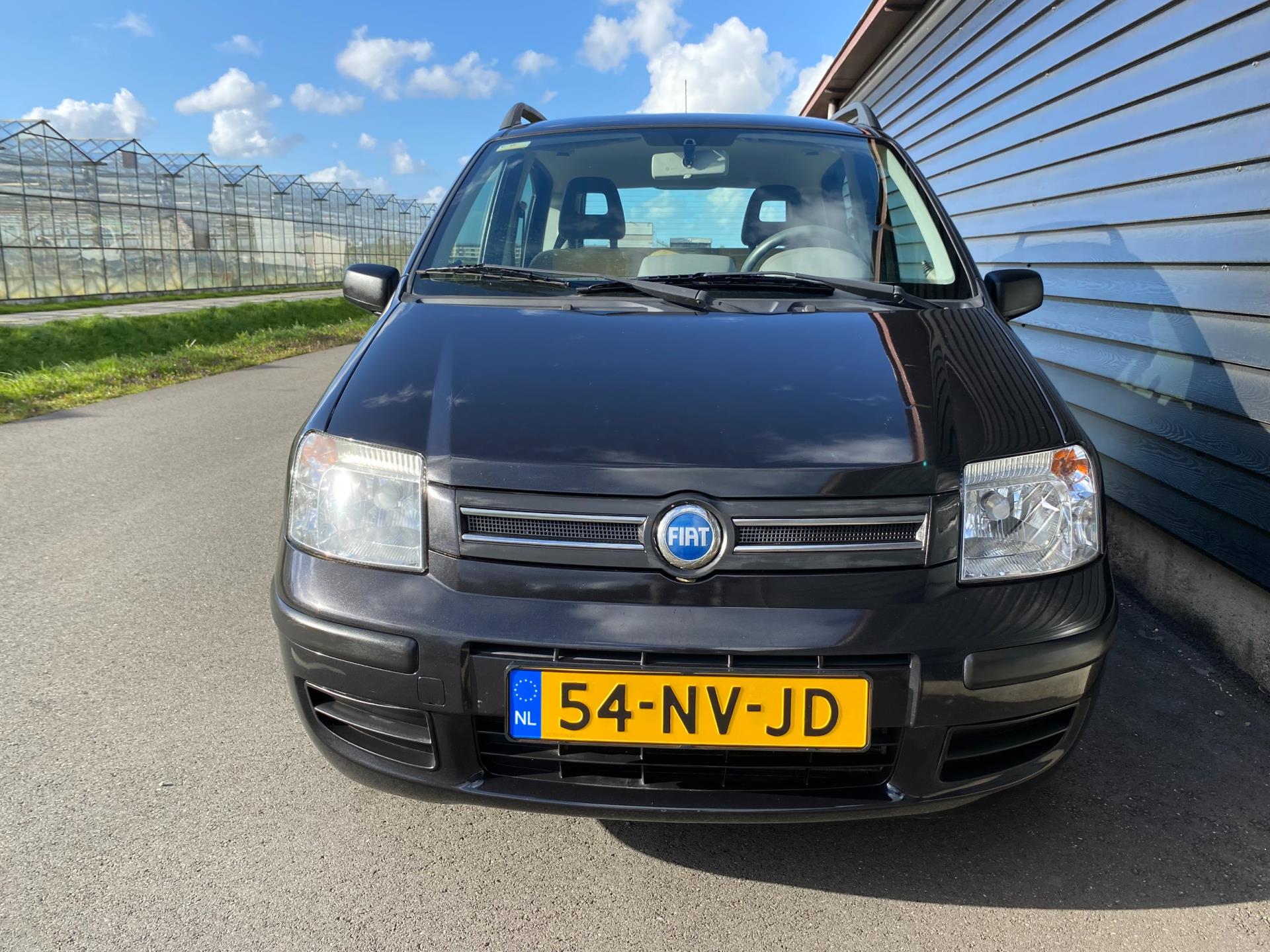 fiat-panda-image5.jpg